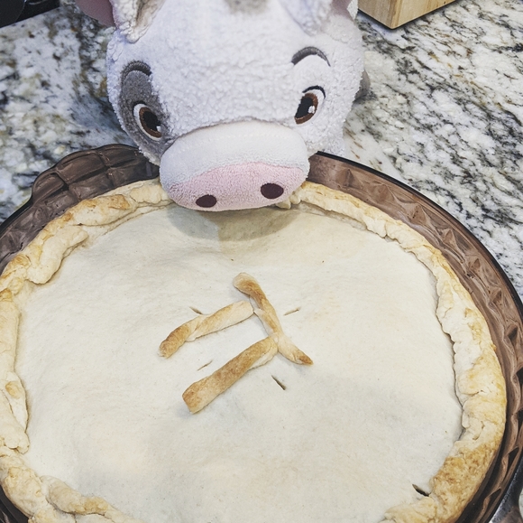 Meet your Posher, Amelia - Picture 5 of 14